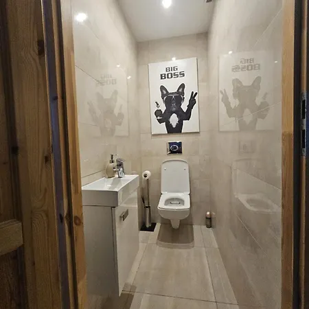 Sense - Z Widokiem Na Gory I * Bielawa (Dzierzoniow)