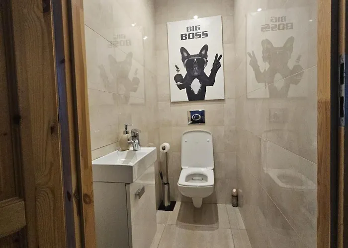 Sense - Z Widokiem Na Gory I * Bielawa (Dzierzoniow)